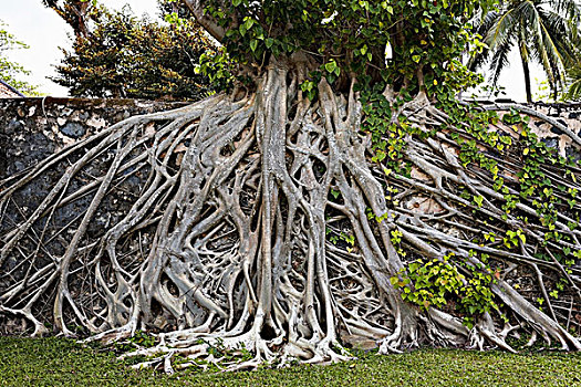 soicau 247 net bach thu khung ngay