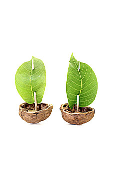 xổ số miền bắc thứ chủ nhật hàng tuần