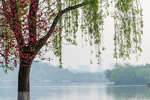 soi cầu chuẩn misa