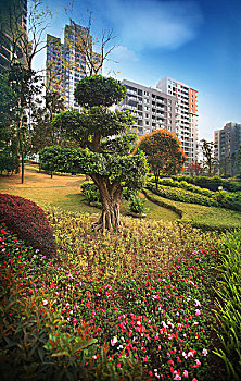 cách chơi đề miền nam
