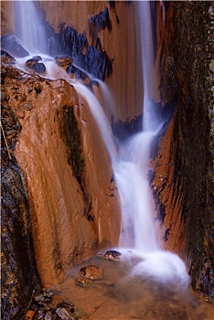 soi câu rong bach kim