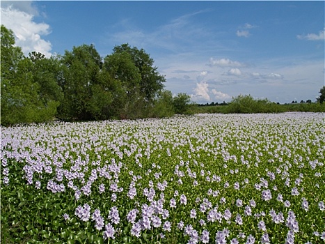cách đánh lô đề miền nam