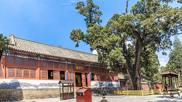 con lô đẹp hôm nay