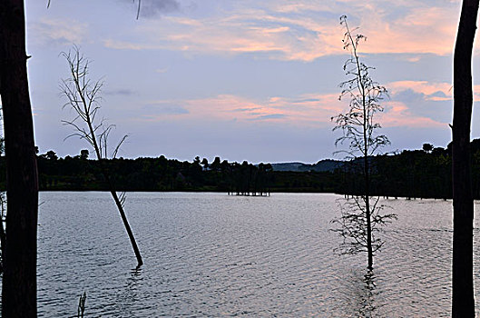 đánh lô trên mạng