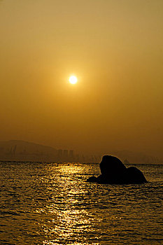 số cà mau