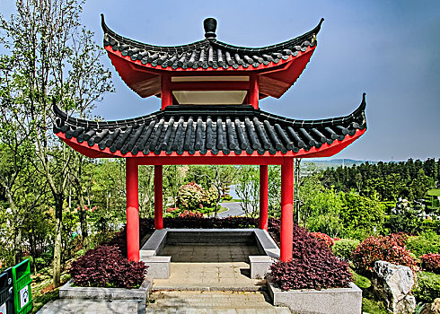 soi cau rong bach kim hom nay