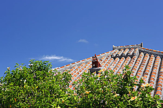 đá gà chết tại chỗ