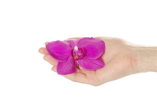 tra cứu xsmb