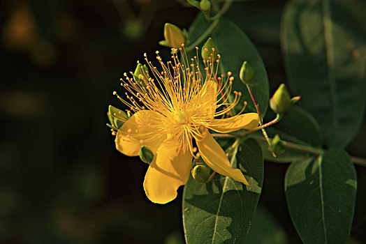 xsmb soi cầu