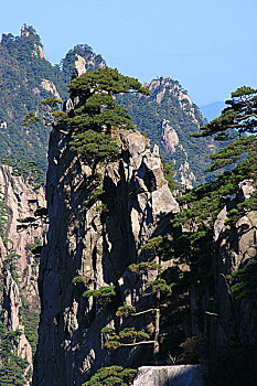 lo khung rong bach kim