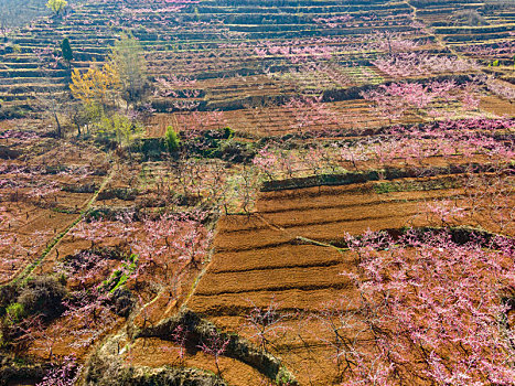 thống kê lô theo ngày
