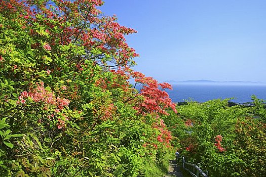 xs da nang hom nay