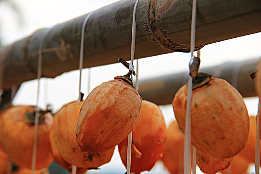 sổ kết quả 100 ngày