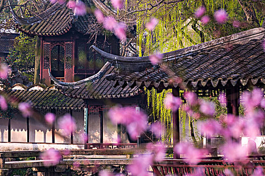 dạy cách đánh lô