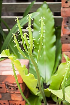 xổ số ngày hôm qua