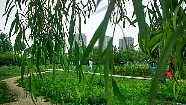 thống kê xổ số tiền giang
