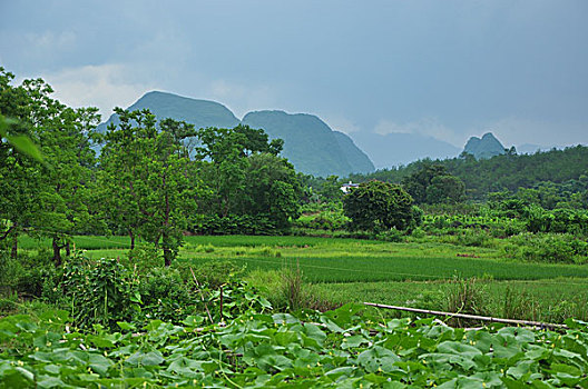 số đề miền bắc