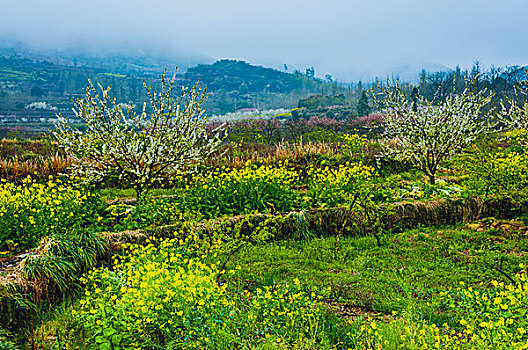 xổ số kiến thiết an giang