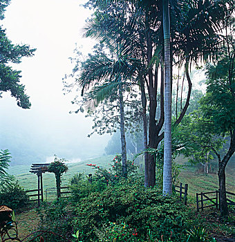 du doan xsmb chinh xac