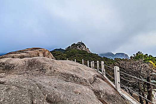 soi cau chuan