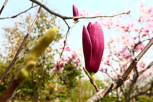 cầu lô bạch thủ hôm nay