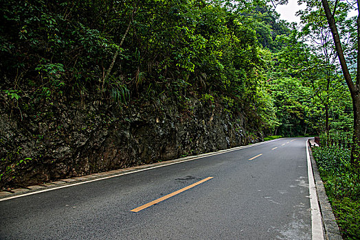 soi cau binh dinh