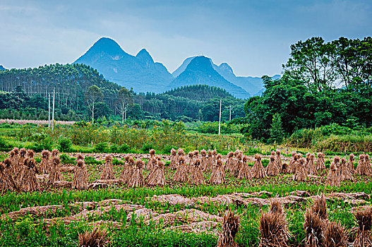 xsmb thu chu nhat