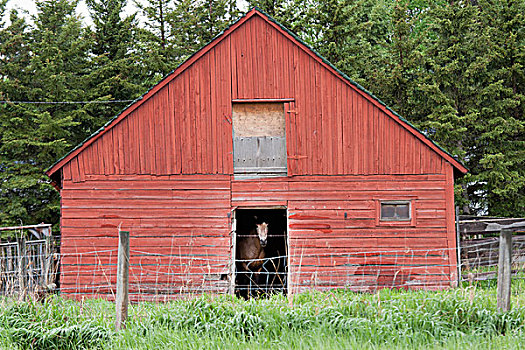 du doan 366