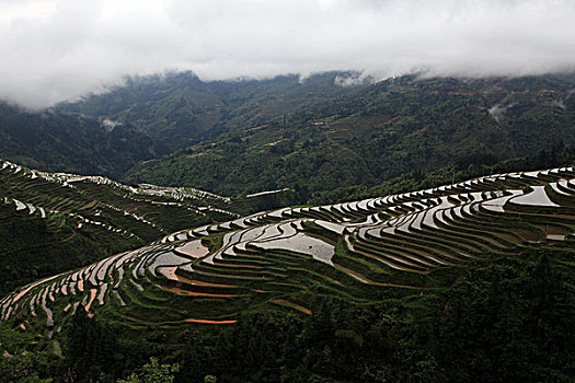 bachthu lo kep