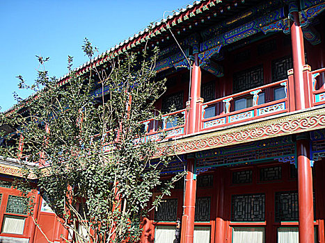 thống kê lô gan miền bắc