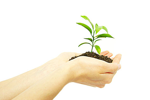 dự đoán soi cầu xổ số miền nam hôm nay