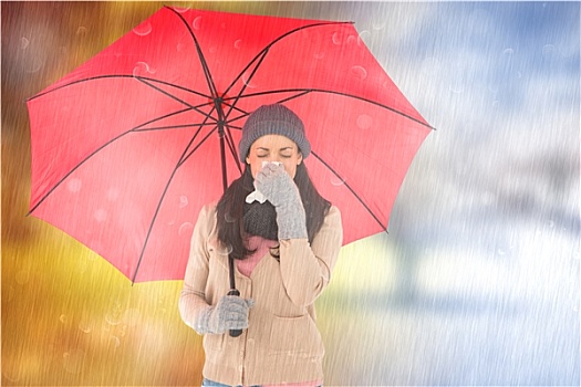 soi bạch thủ đề miền bắc