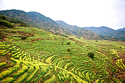 thống kê bạch thủ xổ số miền bắc