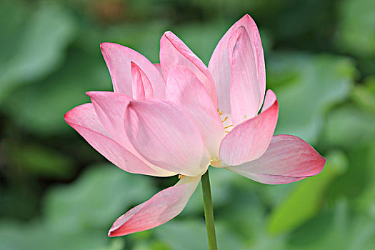 kết quả xổ số an giang