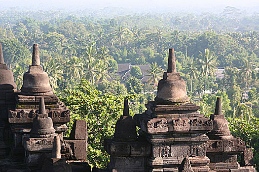 lô bạch thủ là mấy con