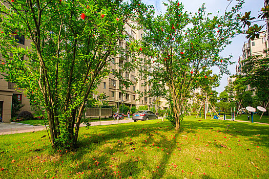 soi cầu 247 nét