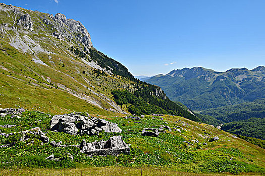 du doan vip
