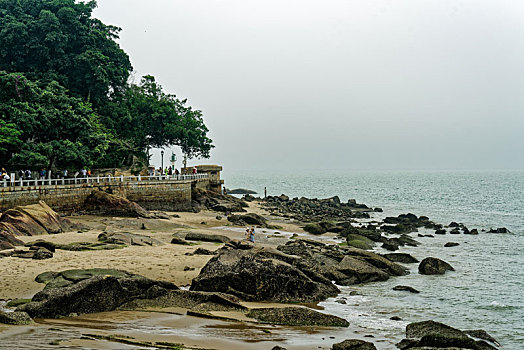 soi câu bạch kim