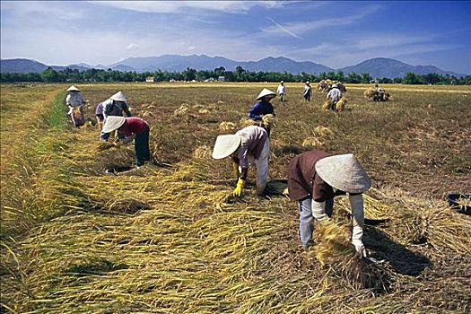 soi cầu lô chuẩn hôm nay