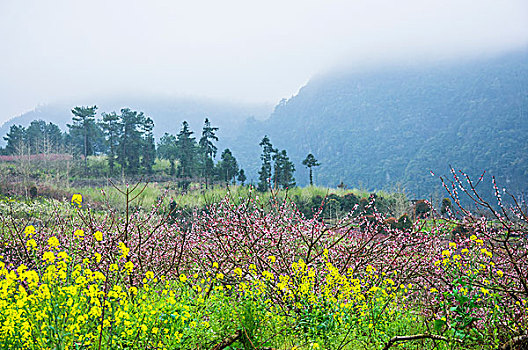 cách đánh đề đầu đuôi