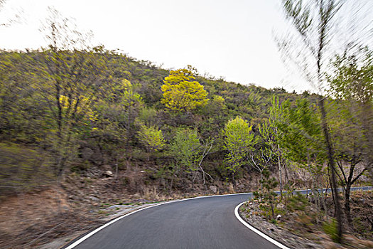 soi cau bach thu khung 3 ngay