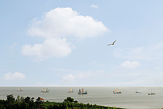sâm lốc bigkool