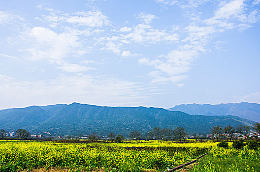 soi cau rong vang