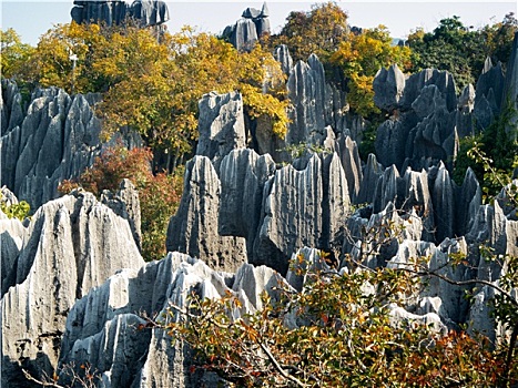 soi cầu lô đề miền nam