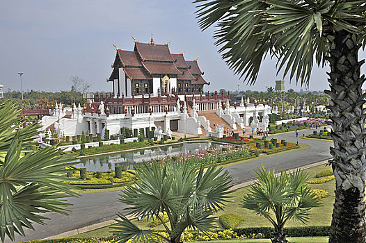 soi cau lo 24