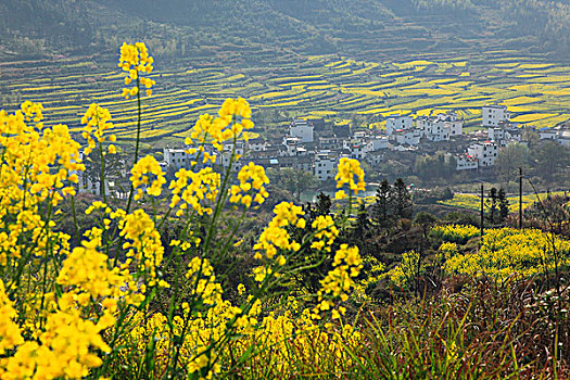 xsmn minh ngoc thu 4
