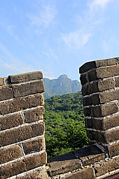 soi cau m trung