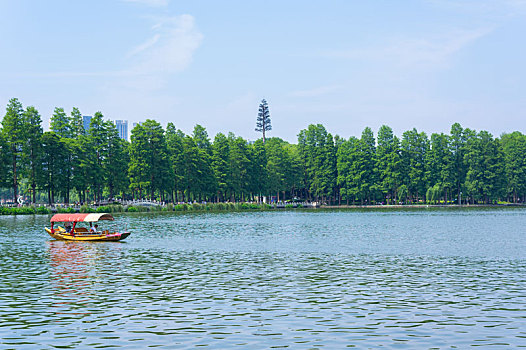 soi cau mien phi hom nay