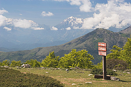 tỷ lệ ăn 3 càng