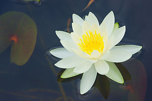 xổ số hải phòng